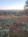 19855 Incense Cedar Trail - Photo 19