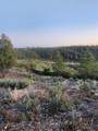 19855 Incense Cedar Trail - Photo 21