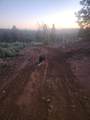 19855 Incense Cedar Trail - Photo 24