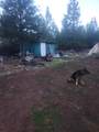 19855 Incense Cedar Trail - Photo 26