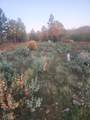 19855 Incense Cedar Trail - Photo 29