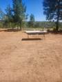 19855 Incense Cedar Trail - Photo 4