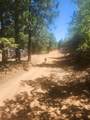 19855 Incense Cedar Trail - Photo 5