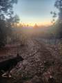 19855 Incense Cedar Trail - Photo 8
