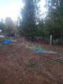 19855 Incense Cedar Trail - Photo 9