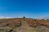 11151 Ridge Road - Photo 31