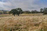 11151 Ridge Road - Photo 35