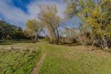11151 Ridge Road - Photo 48