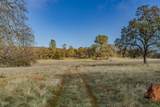 11151 Ridge Road - Photo 49