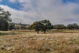 11151 Ridge Road - Photo 50
