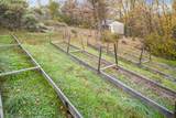 11838 Flying T Road - Photo 13