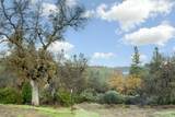 11838 Flying T Road - Photo 18