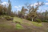 11838 Flying T Road - Photo 24