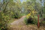 11838 Flying T Road - Photo 34