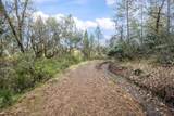 11838 Flying T Road - Photo 39