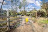 11838 Flying T Road - Photo 42
