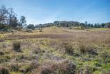 8545 Country Hills Lane - Photo 14