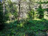 13136 Woodstock Drive - Photo 21