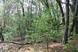 5577 Pine Ridge Road - Photo 11