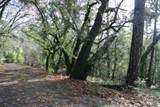 5577 Pine Ridge Road - Photo 14
