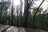 5585 Pine Ridge Road - Photo 11