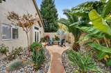 3221 Amethyst Way - Photo 47