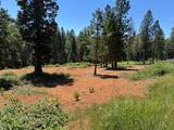 20710 Foresthill Road - Photo 4