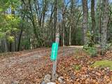 17631 Greenhorn Road - Photo 1