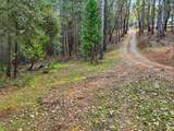 17631 Greenhorn Road - Photo 13