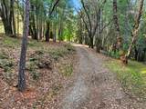 17631 Greenhorn Road - Photo 14