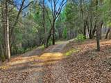 17631 Greenhorn Road - Photo 7
