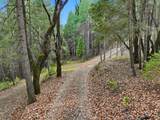 17631 Greenhorn Road - Photo 8