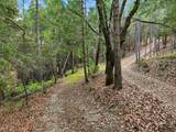 17631 Greenhorn Road - Photo 9