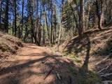 14295 Arrowhead Mine Road - Photo 4
