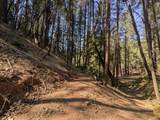 14295 Arrowhead Mine Road - Photo 5