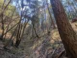 14295 Arrowhead Mine Road - Photo 7