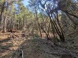14295 Arrowhead Mine Road - Photo 8