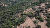 8 Acres - Photo 1