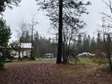 17288 Farrell Ravine Way - Photo 17