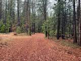 17288 Farrell Ravine Way - Photo 18