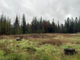 17288 Farrell Ravine Way - Photo 4