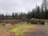 17288 Farrell Ravine Way - Photo 6