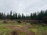 17288 Farrell Ravine Way - Photo 7