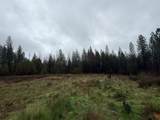 17288 Farrell Ravine Way - Photo 8