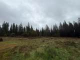 17288 Farrell Ravine Way - Photo 9