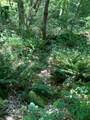 0 Baker Road - Photo 15
