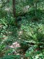 0 Baker Road - Photo 16