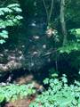 0 Baker Road - Photo 20