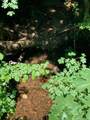 0 Baker Road - Photo 21