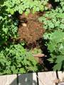 0 Baker Road - Photo 22